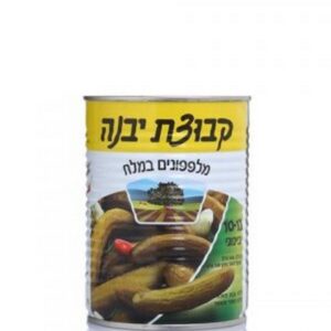 מלפפון במלח בנוני קבוצת יבנה