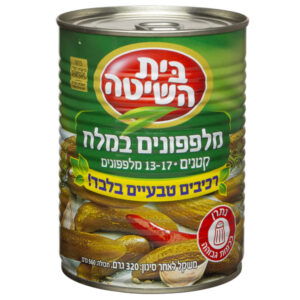 מלפפון במלח בית השיטה 13-17
