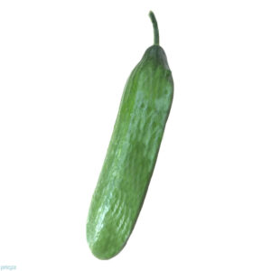 מלפפון