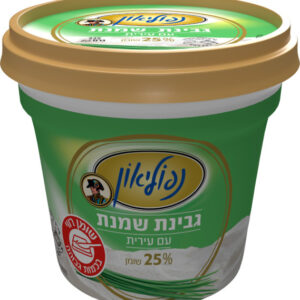 גבינת נפוליאון עירית 25% 225 ג'