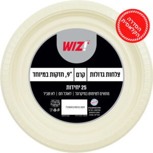 צלחות גדולות WIZ