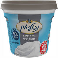 גבינת שמנת נפוליאון טבעי 9%